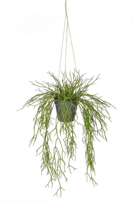 Hanging in Rusted Pot Artificial Grass Plant - citiplants.com