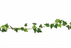 English Ivy Garland Vari Artificial Branch Plant - citiplants.com