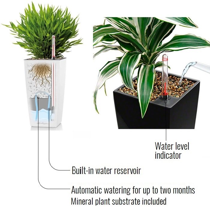 LECHUZA MINI CUBI Table Charcoal Metallic Poly Resin Table Self-watering Planter with Substrate and Water Level Indicator H18 L9 W9 cm, 0.8L - citiplants.com