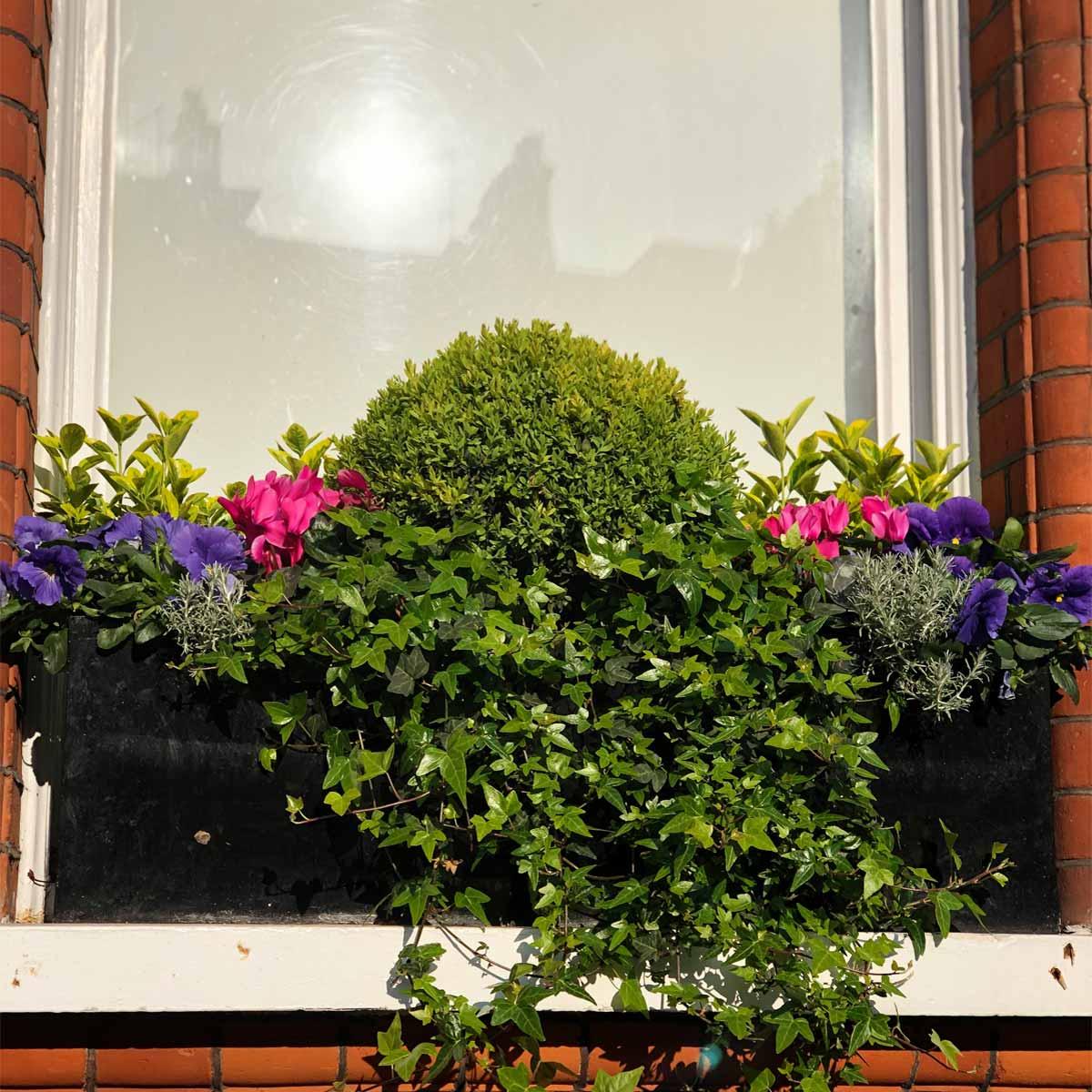 Window Box Light Concrete Black Planter by IDEALIST Lite L40 W17 H17.5 cm, 12L - citiplants.com