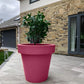 Jumbo Classic Flower Pot - approx 1m wide 1m deep - citiplants.com