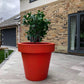 Jumbo Classic Flower Pot - approx 1m wide 1m deep - citiplants.com
