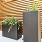 Tall Square Contemporary Black Light Concrete Planter by IDEALIST Lite H50 L21 W21 cm, 22L - citiplants.com