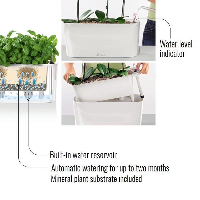 LECHUZA DELTA 40 Charcoal Poly Resin Floor Self-watering Planter with Substrate and Water Level Indicator D40 H75 cm, 94L - citiplants.com
