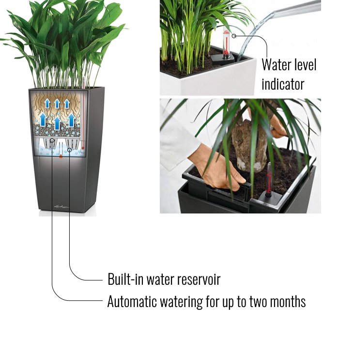 Set of two LECHUZA CUBICO 30 Poly Resin Self Watering Planters with Substrate L30 W30 H56 cm, 14 litres Cap: White High-Gloss + Charcoal Metallic - citiplants.com