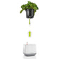 LECHUZA YULA Plant Bag White/Green Semi-Gloss Poly Resin Floor Self-watering Planter with Water Level Indicator H18 L38 W17 cm, 4.5L - citiplants.com