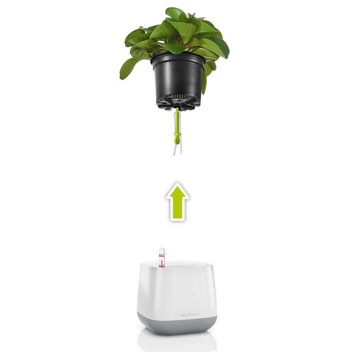 LECHUZA YULA Plant Bag White/Green Semi-Gloss Poly Resin Floor Self-watering Planter with Water Level Indicator H18 L38 W17 cm, 4.5L - citiplants.com