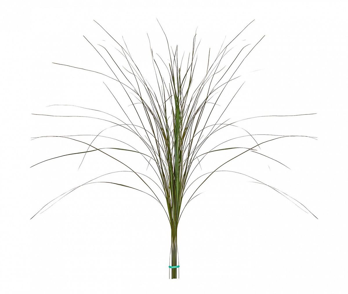 Bear Green Flame Retardant Artificial Grass Plant - citiplants.com