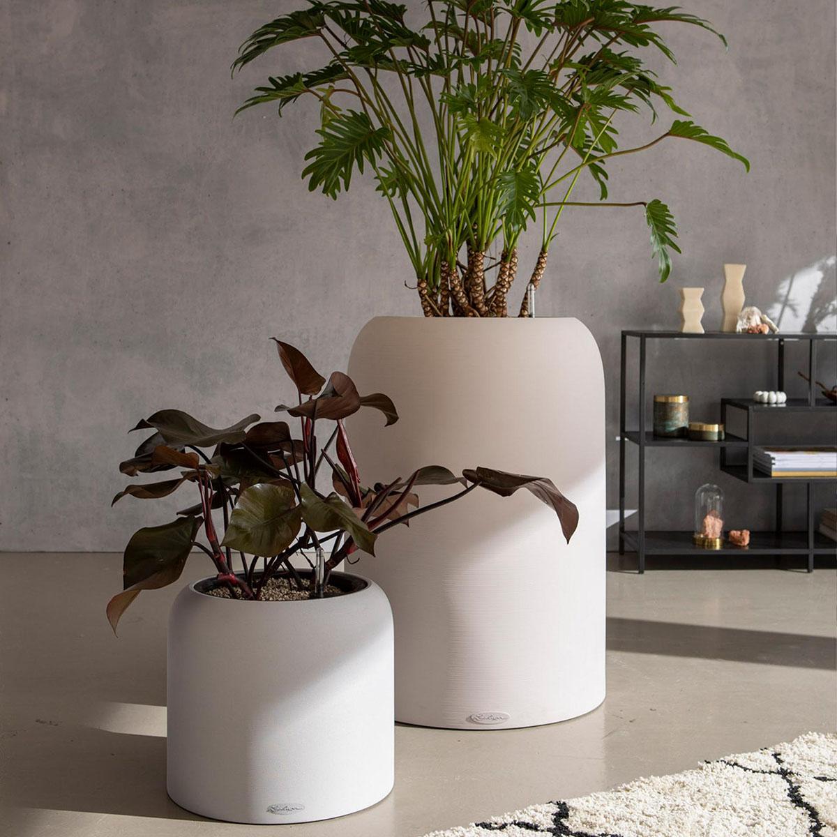 LECHUZA CANTO Stone 40 Low Graphite Black Poly Resin Floor Self-watering Planter with Substrate and Water Level Indicator H40 L40 W40 cm, 29L - citiplants.com