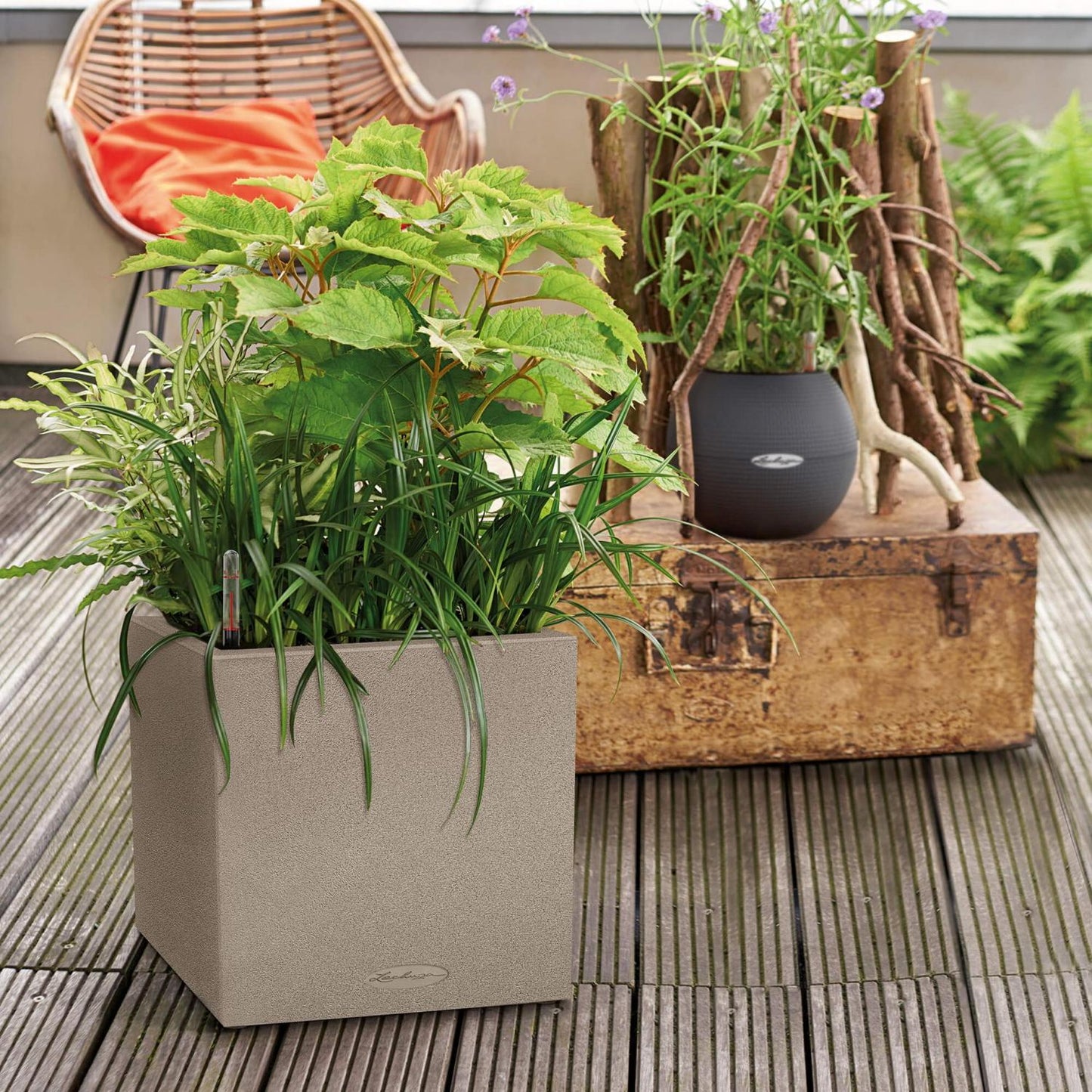 LECHUZA CANTO Stone 30 Low Graphite Black Poly Resin Floor Self-watering Planter with Substrate and Water Level Indicator H30 L30 W30 cm, 12L - citiplants.com