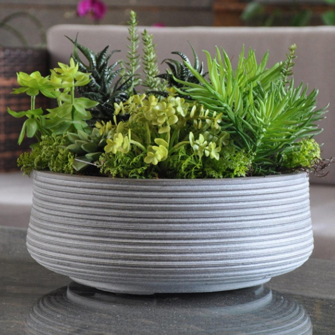 Large Ribbed Light Concrete Bowl Planter by IDEALIST Lite - citiplants.com