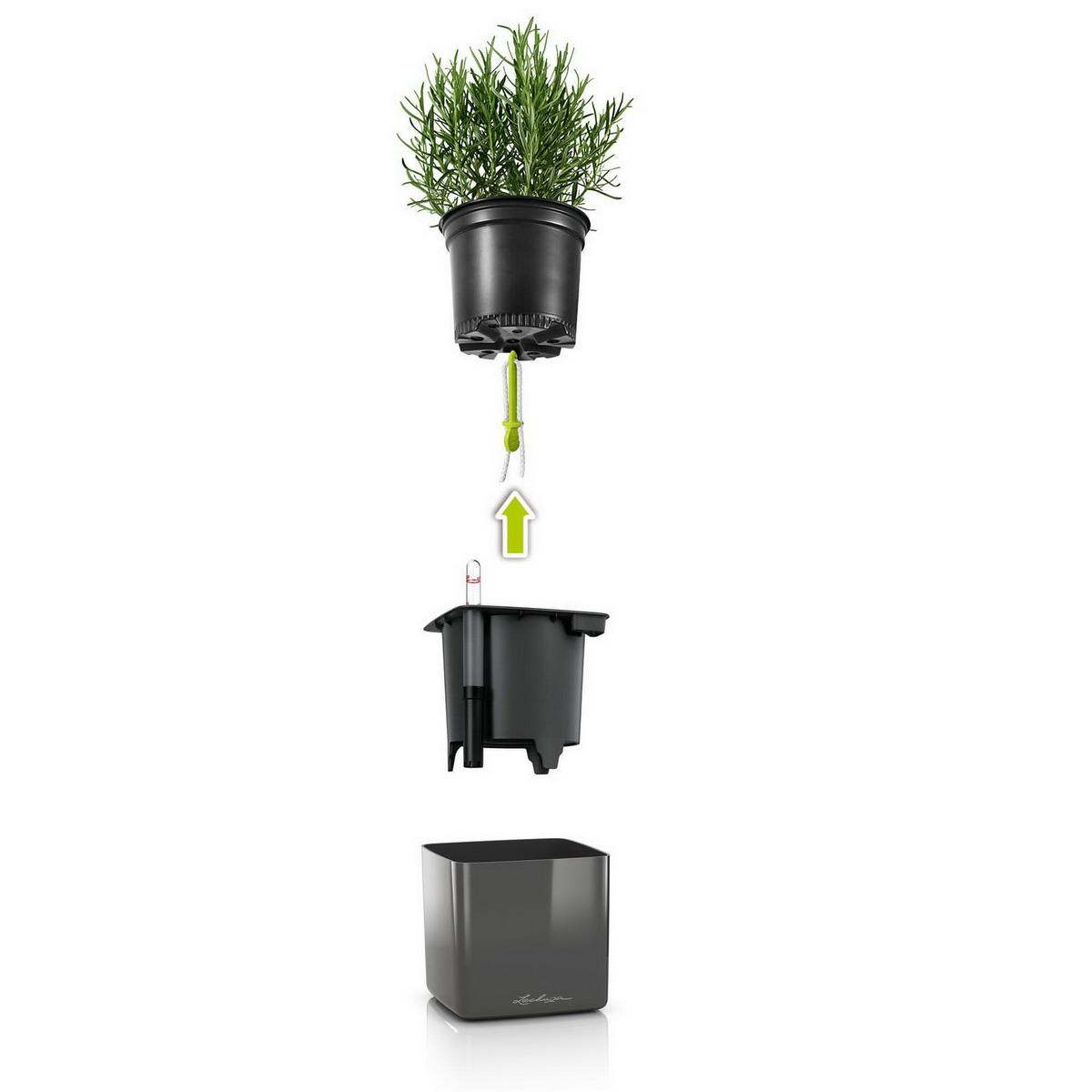 LECHUZA CUBE Glossy 16 Charcoal HighGloss Poly Resin Table Self-watering Planter with Water Level Indicator H16 L17 W17 cm, 1.4L - citiplants.com