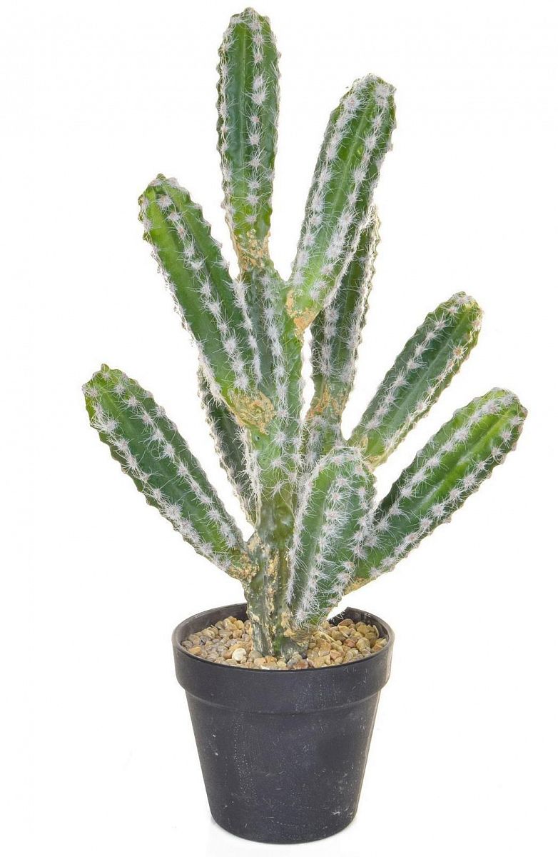 Cactus with Black Pot YF Artificial Flower Plant - citiplants.com