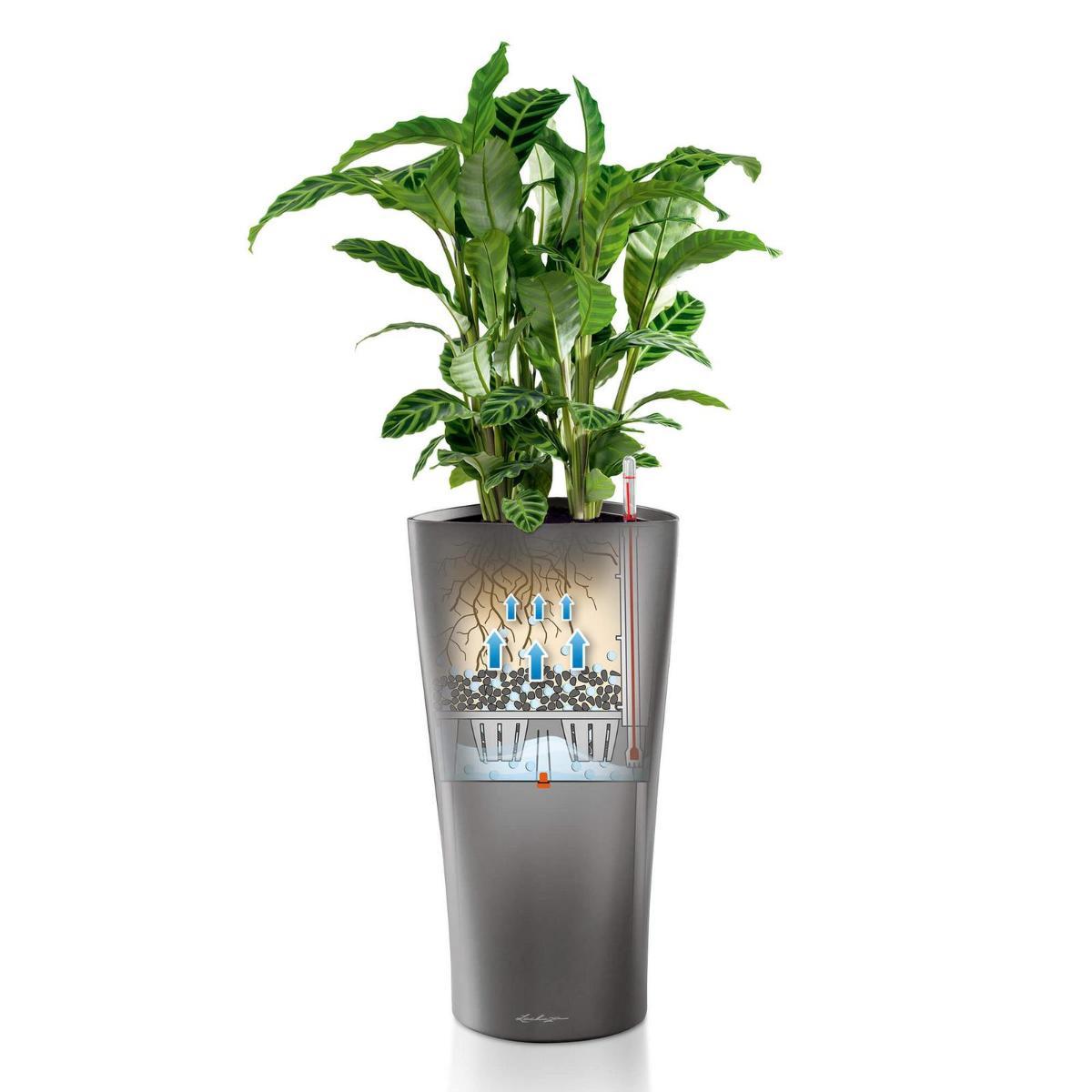LECHUZA DELTA 30 Charcoal Poly Resin Floor Self-watering Planter with Substrate and Water Level Indicator D30 H56 cm, 40L - citiplants.com