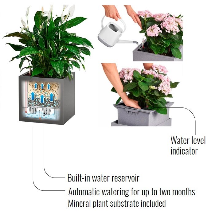 LECHUZA CANTO Stone 30 Low Graphite Black Poly Resin Floor Self-watering Planter with Substrate and Water Level Indicator H30 L30 W30 cm, 12L - citiplants.com